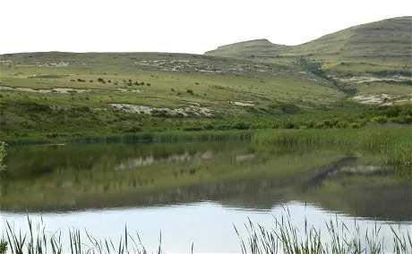 Green hills reflected in a calm lake with surrounding reeds