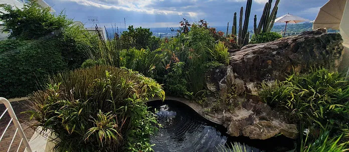 Lush garden with a pond rocks and cacti under a cloudy sky