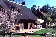 Thatchedroof cottage with garden and outdoor seating area