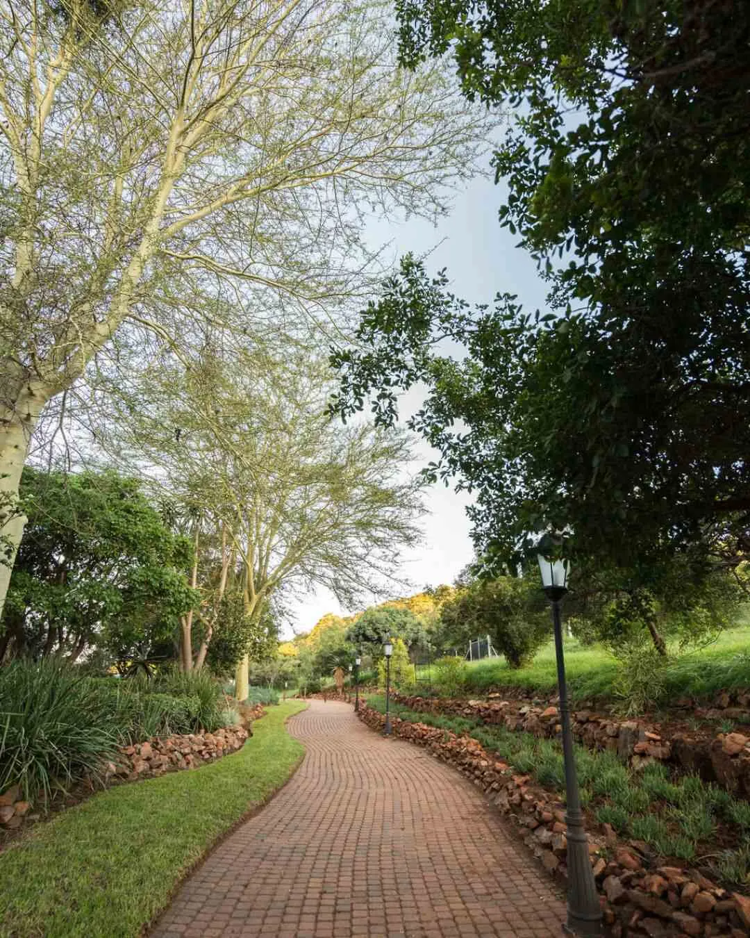 Brick pathway through a garden with trees and plants on either side