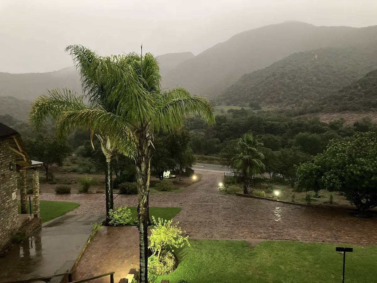 Palm trees near a building with mountains in the background on a misty day
