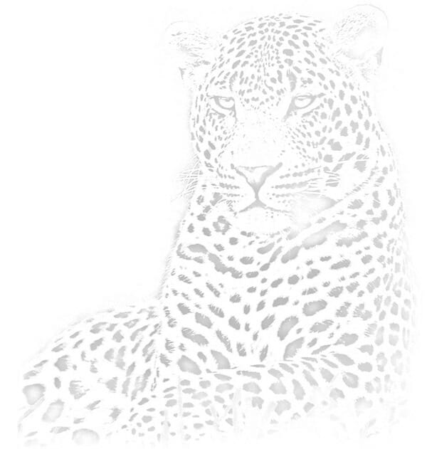 Londolozi Game Reserve