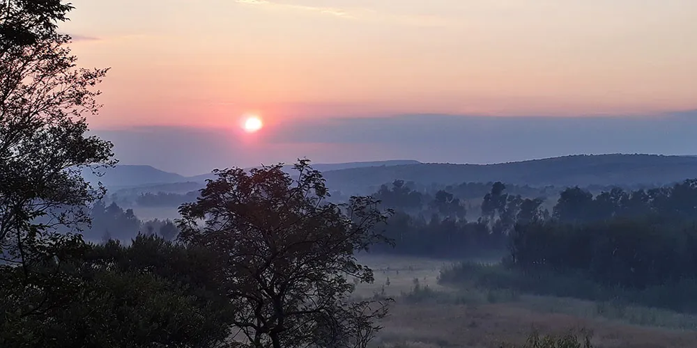 Sunset over a misty landscape with trees and rolling hills in the distance