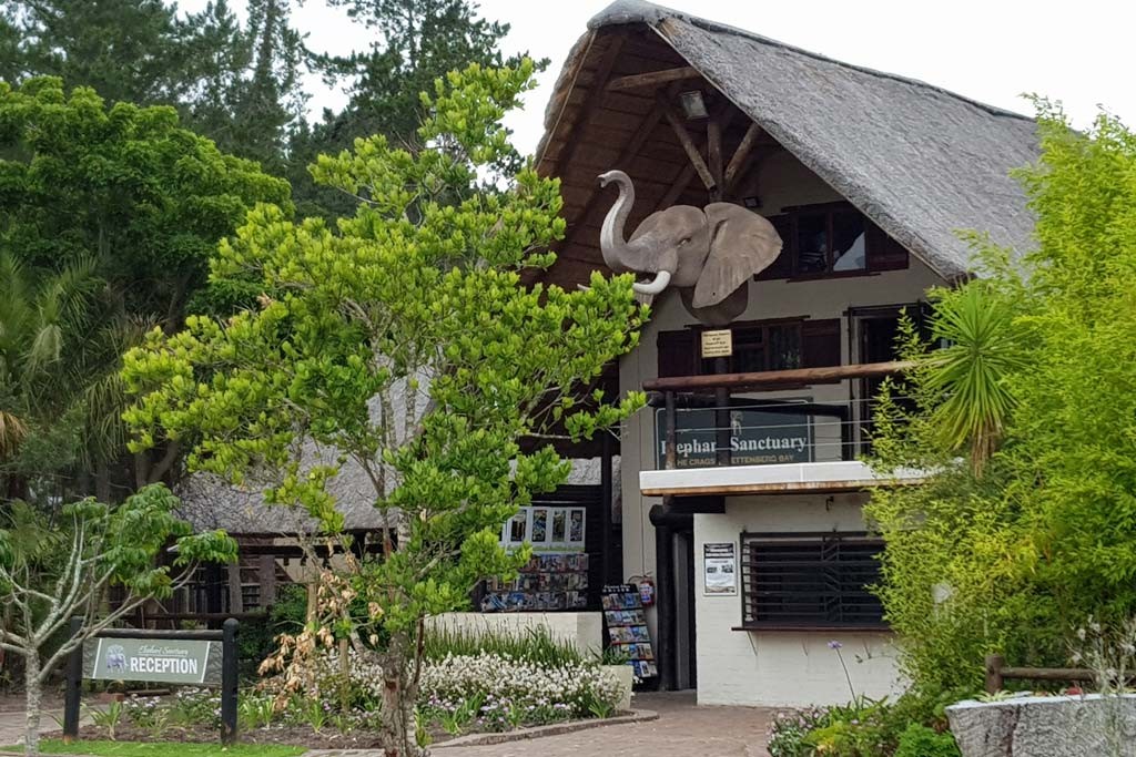 Elephant Country Guesthouse