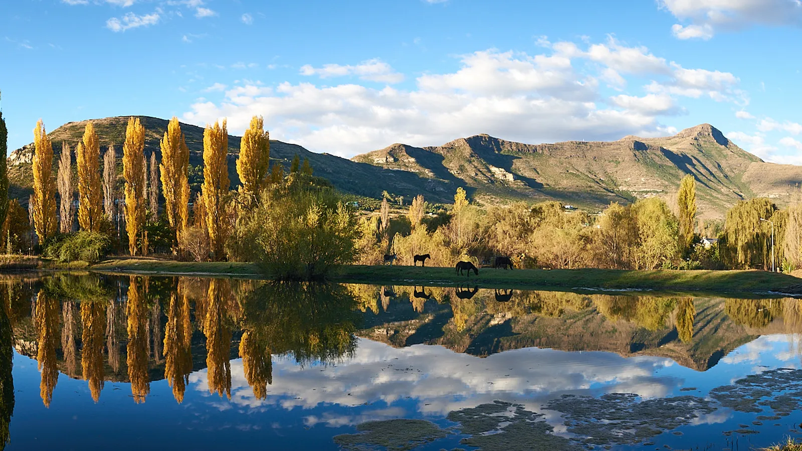 Knock Out View, Clarens