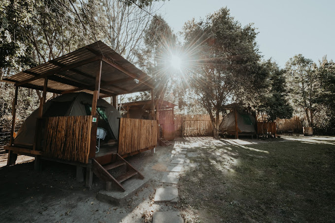 Storms River Forest Lodge