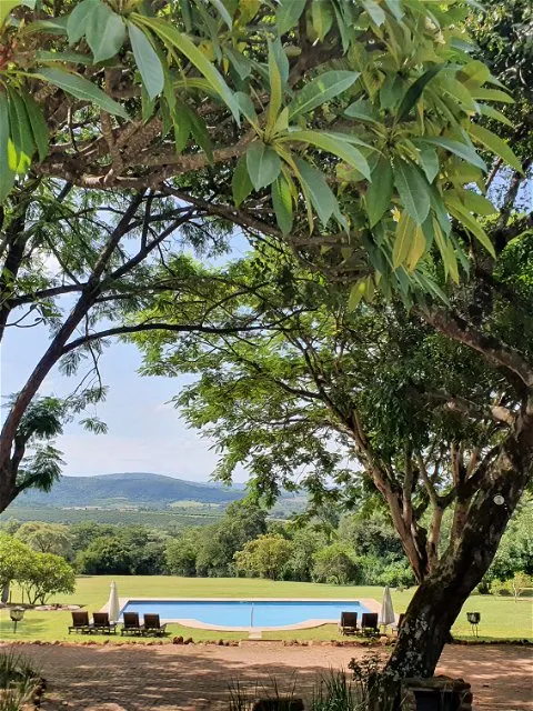 Swimming pool surrounded by trees with mountains in the background