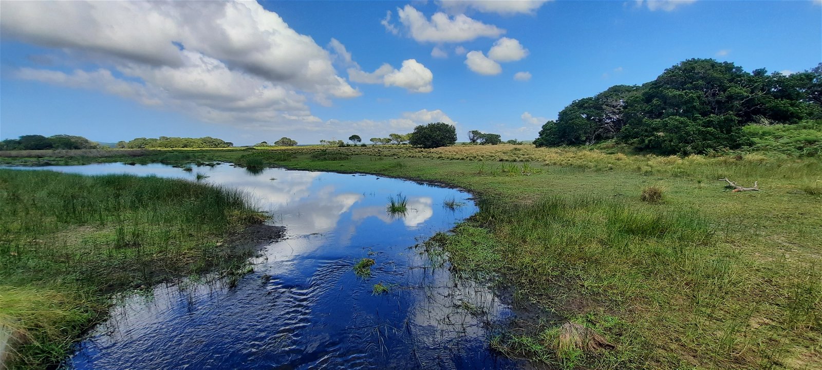 St. Lucia Wetlands Guest House