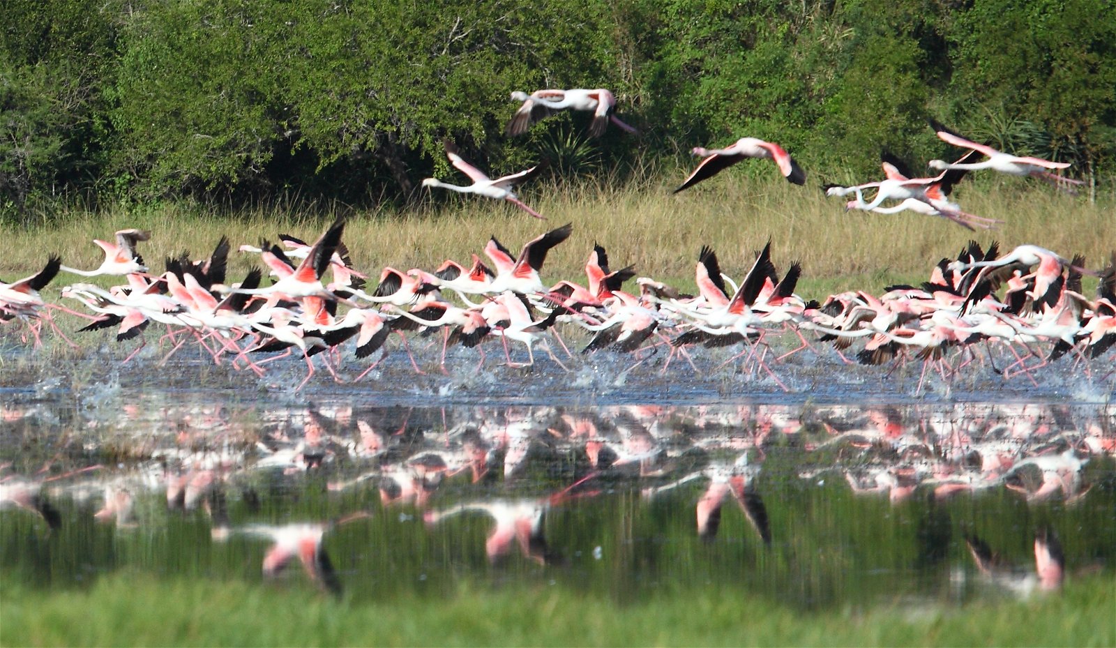 St. Lucia Wetlands Guest House