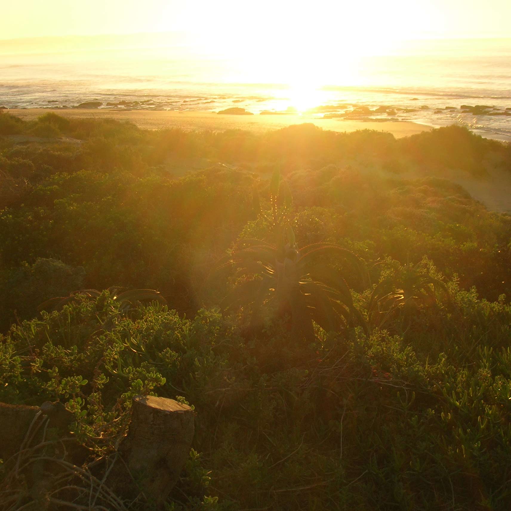 Seester Strandhuis in Humansdorp 5