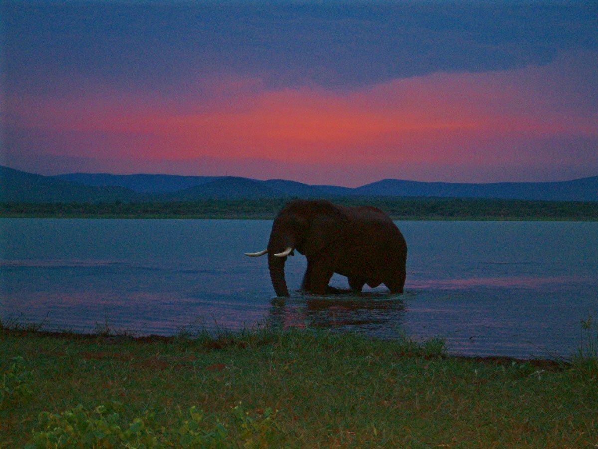 White Elephant Safari Lodge