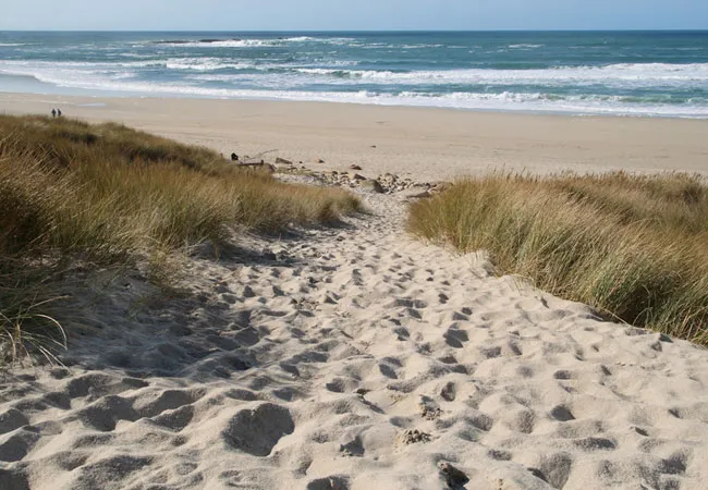 Path through dunes leading to a sandy beach with waves in the background