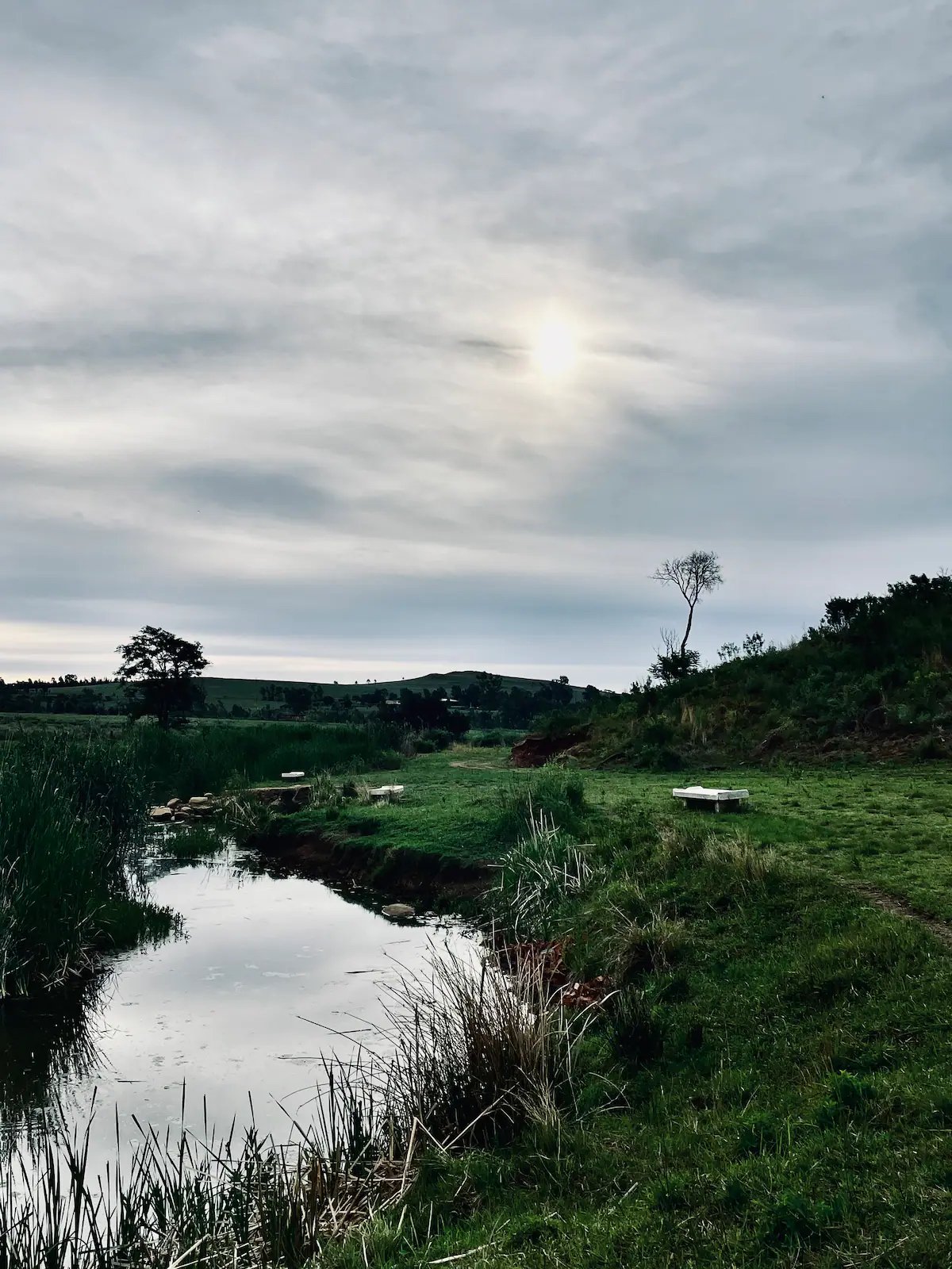 The Villa at 40 Acres Guest Farm in Magaliesburg 2