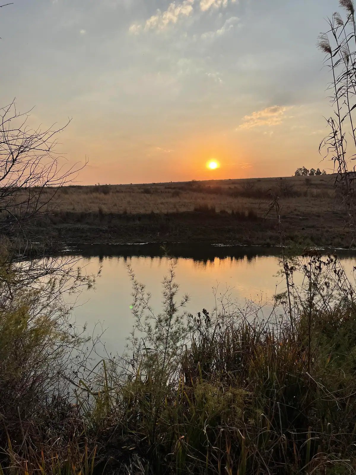 The Villa at 40 Acres Guest Farm in Magaliesburg 3