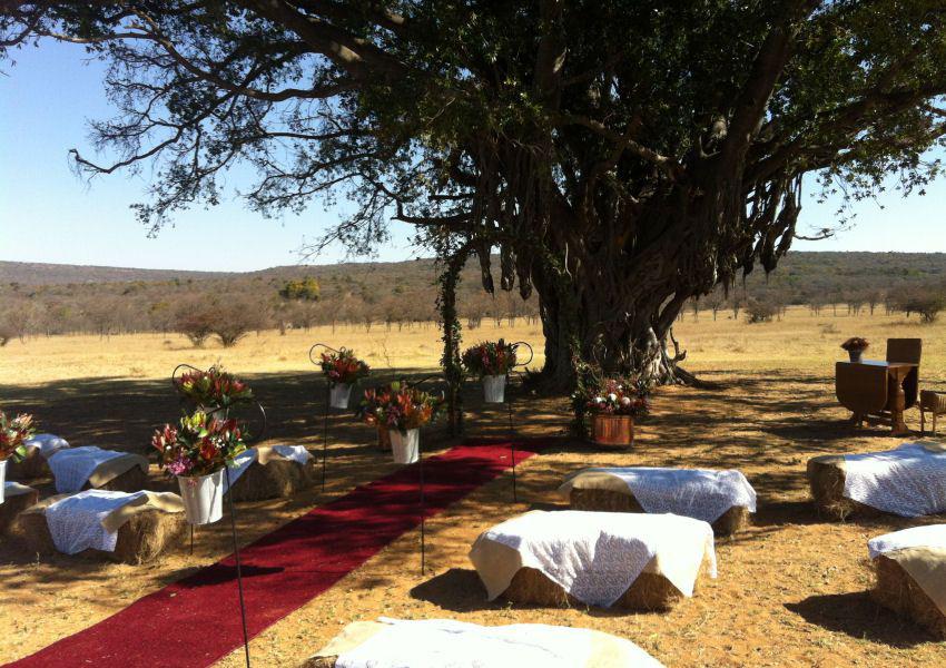 Izintaba Private Game Reserve image 3