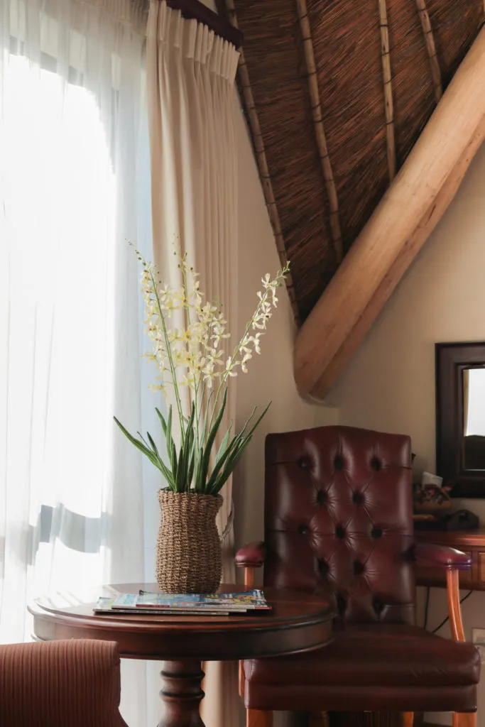 Potted plant on table beside leather chair in sunlit room with wooden ceiling