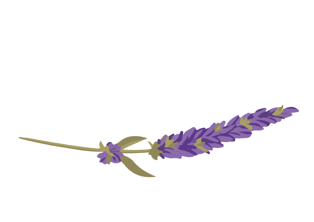 Aero Lodge
