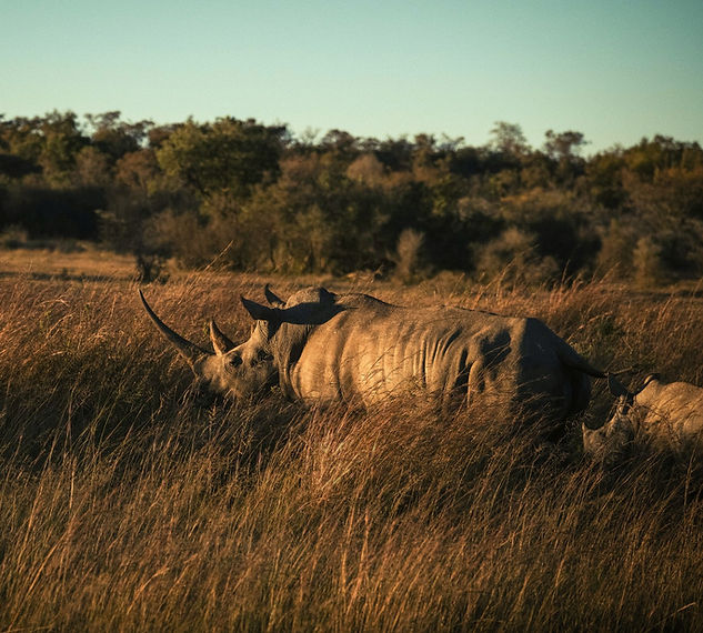 57 Waterberg