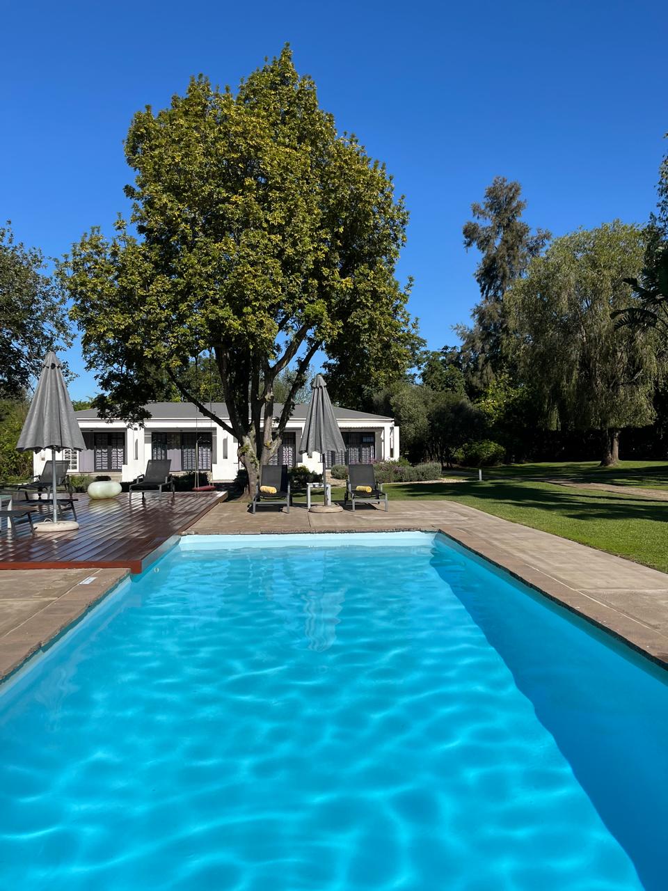 Bloom Estate in Swellendam 2
