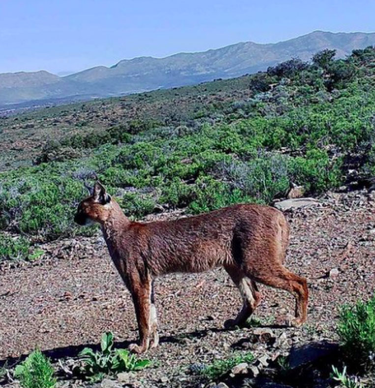 Aardvark Bioreserve