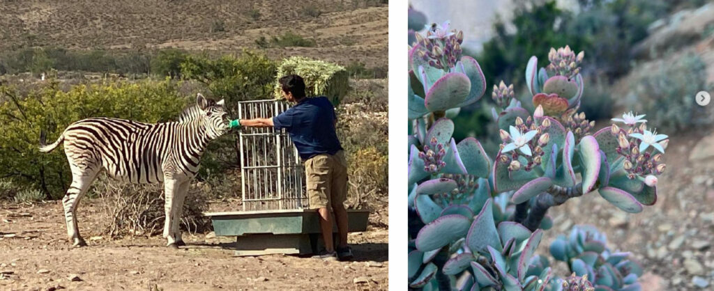 Aardvark Bioreserve