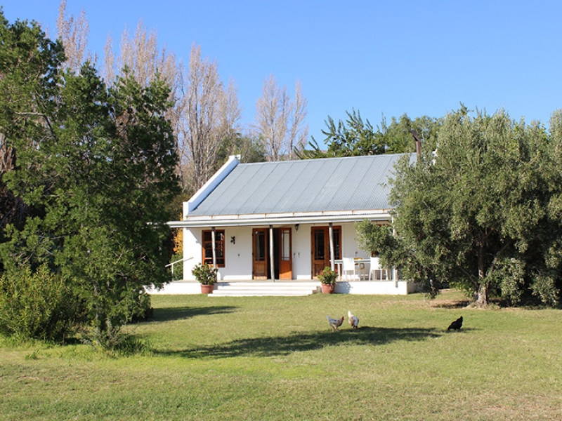 Acacia Cottage image 4