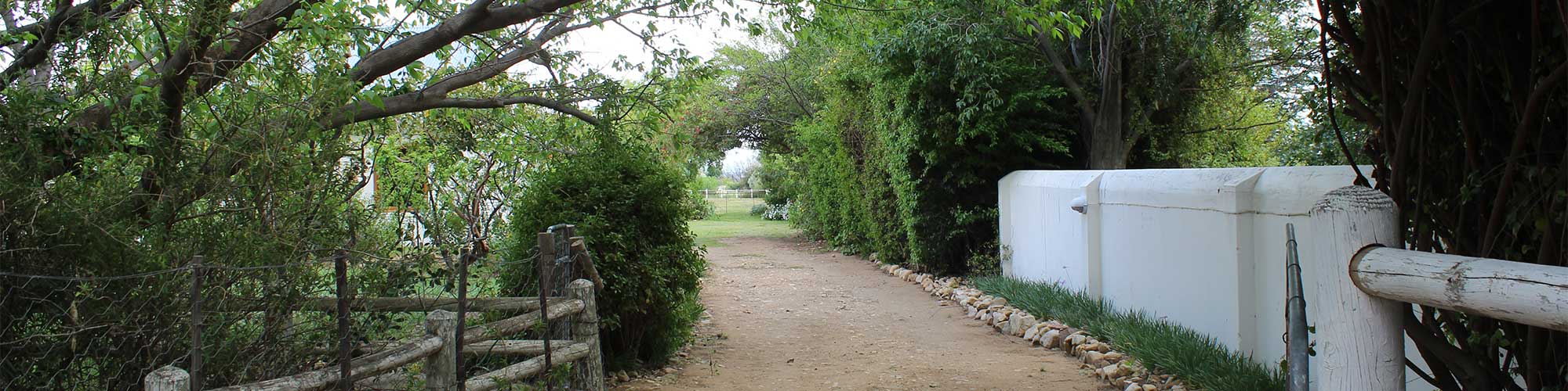 Acacia Cottage in Prins Albert 4