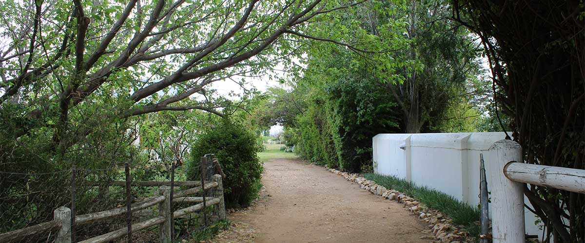 Acacia Cottage image 4