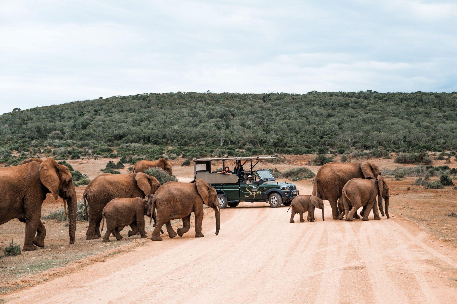 Addo Africa Home Eco Lodge