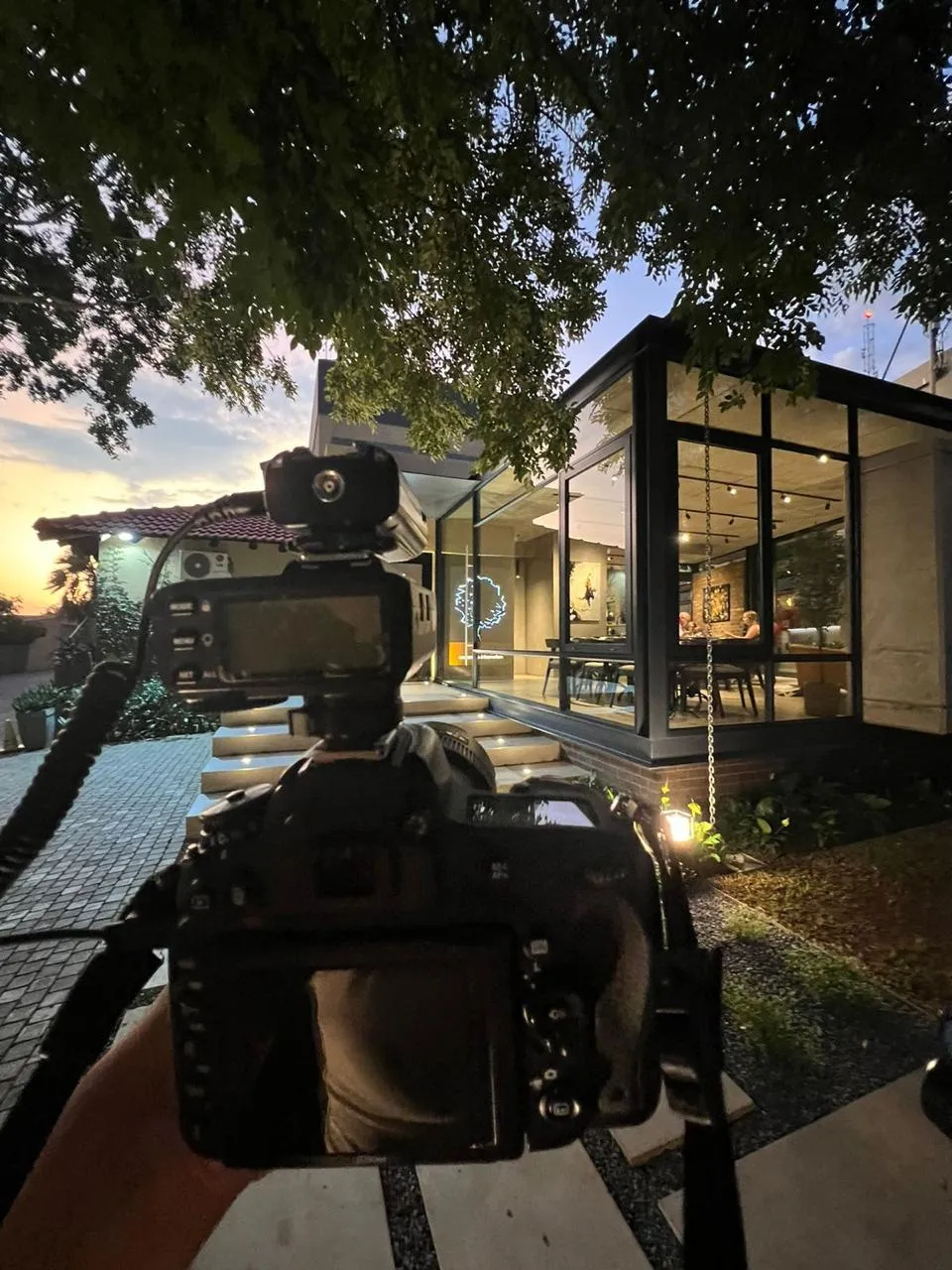 Hand holding camera aimed at modern glass house at dusk with tree branches overhead