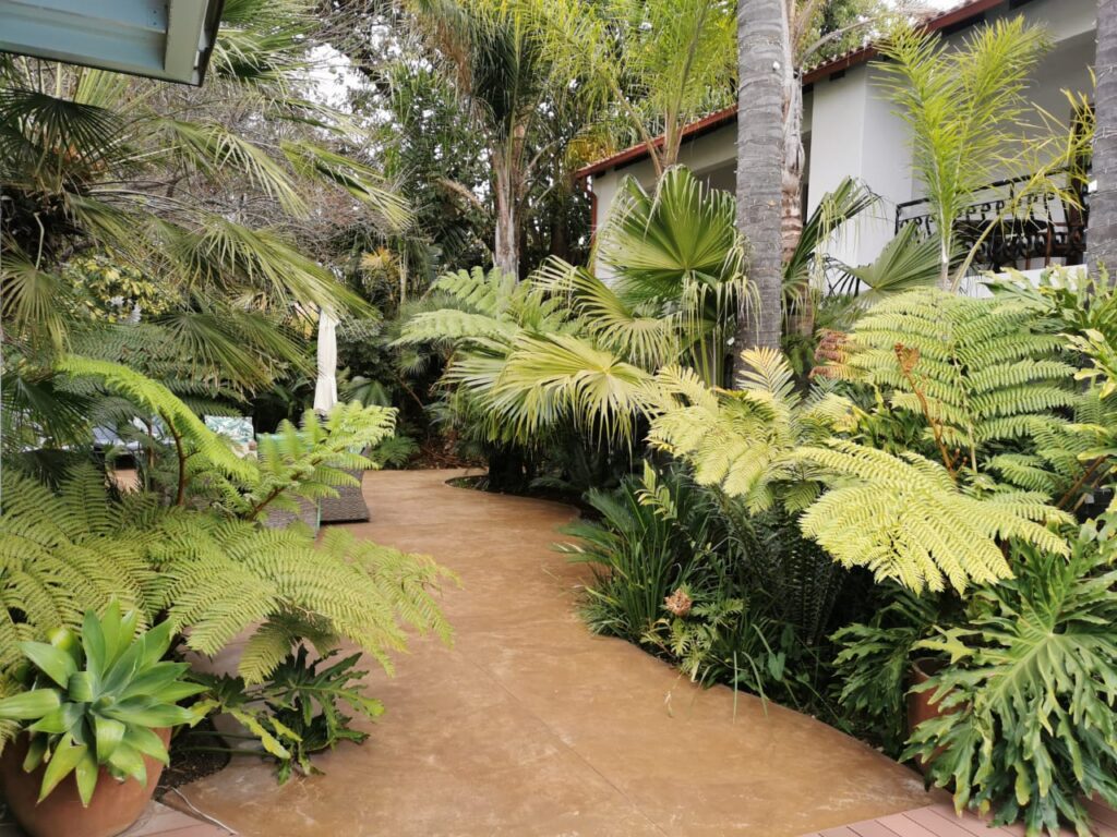Aanmani Rose Guest House image 2