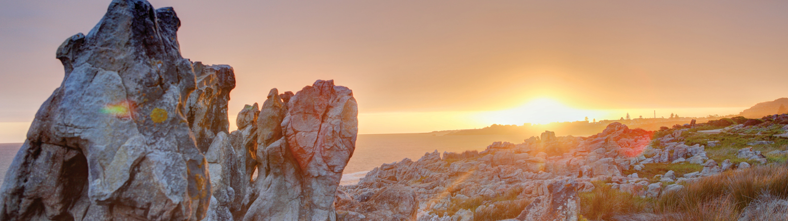 Abalone Lodge in Hermanus 5