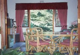 Dining area with wicker chairs glass table and large window view of trees