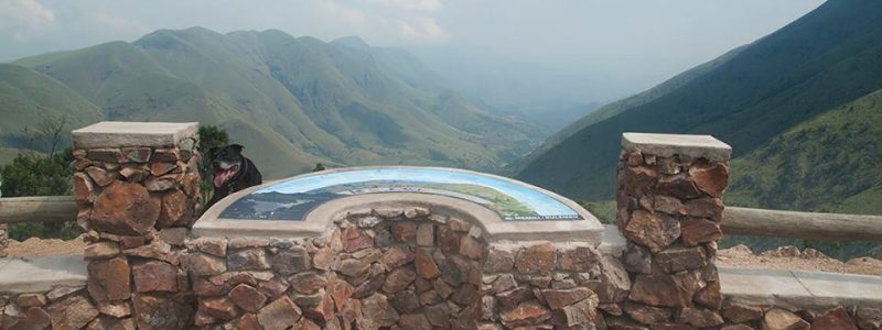 African Dream Villa image 5