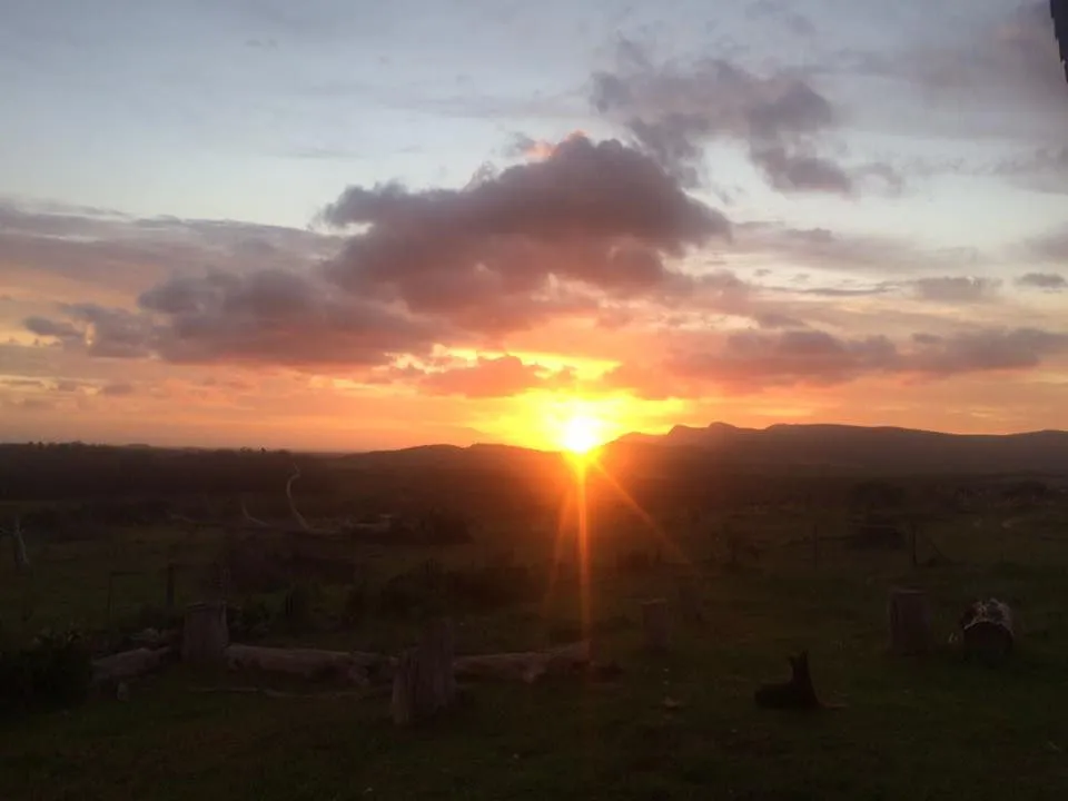 Sunset over a grassy field with wooden posts and a dog in the foreground