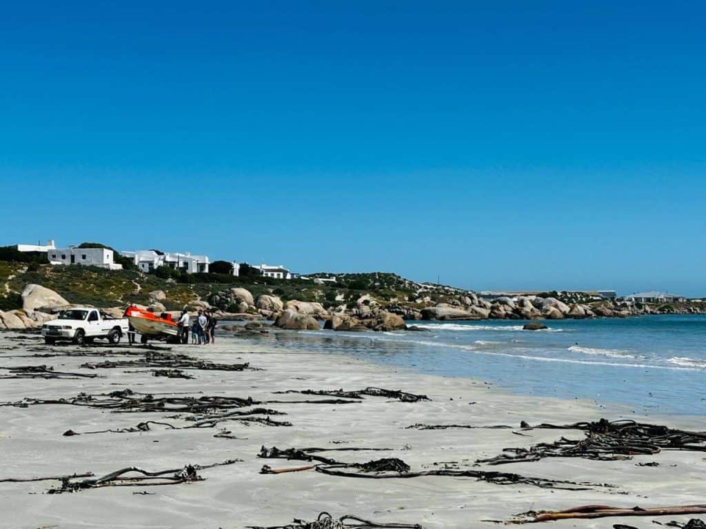 @51 Paternoster image 2