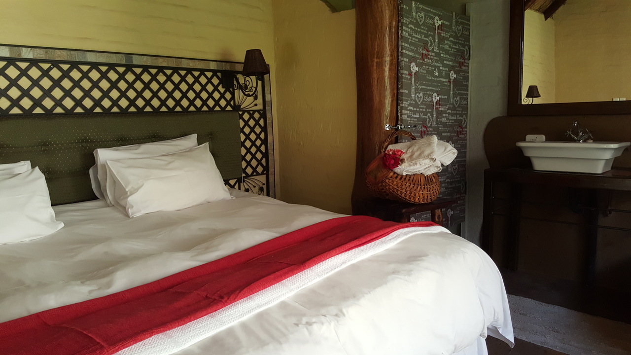 African Silhouette Guesthouse in Johannesburg 3