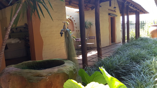 African Silhouette Guesthouse in Johannesburg 2