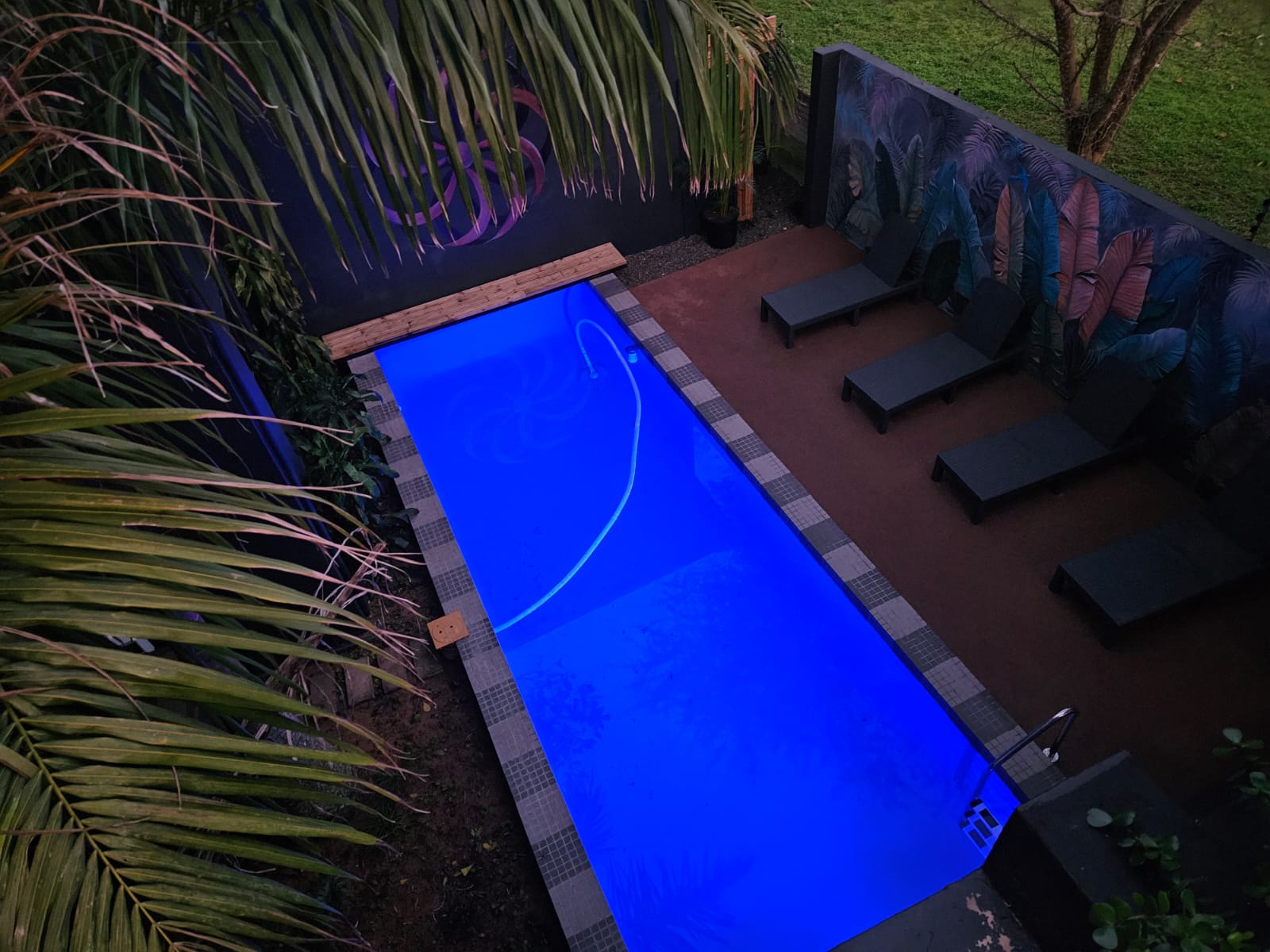 Amoya Villa