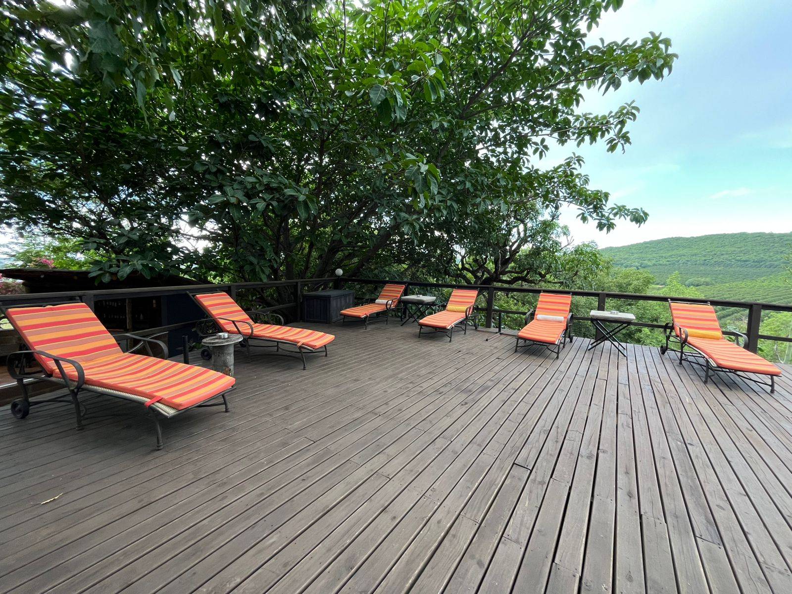 Abangane Guest Lodge