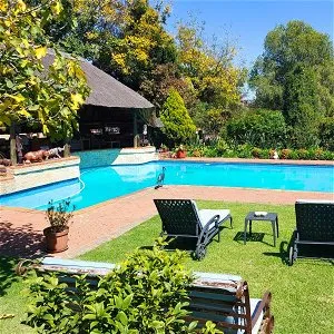 Swimming pool with lounge chairs bench and lush greenery in a sunny garden