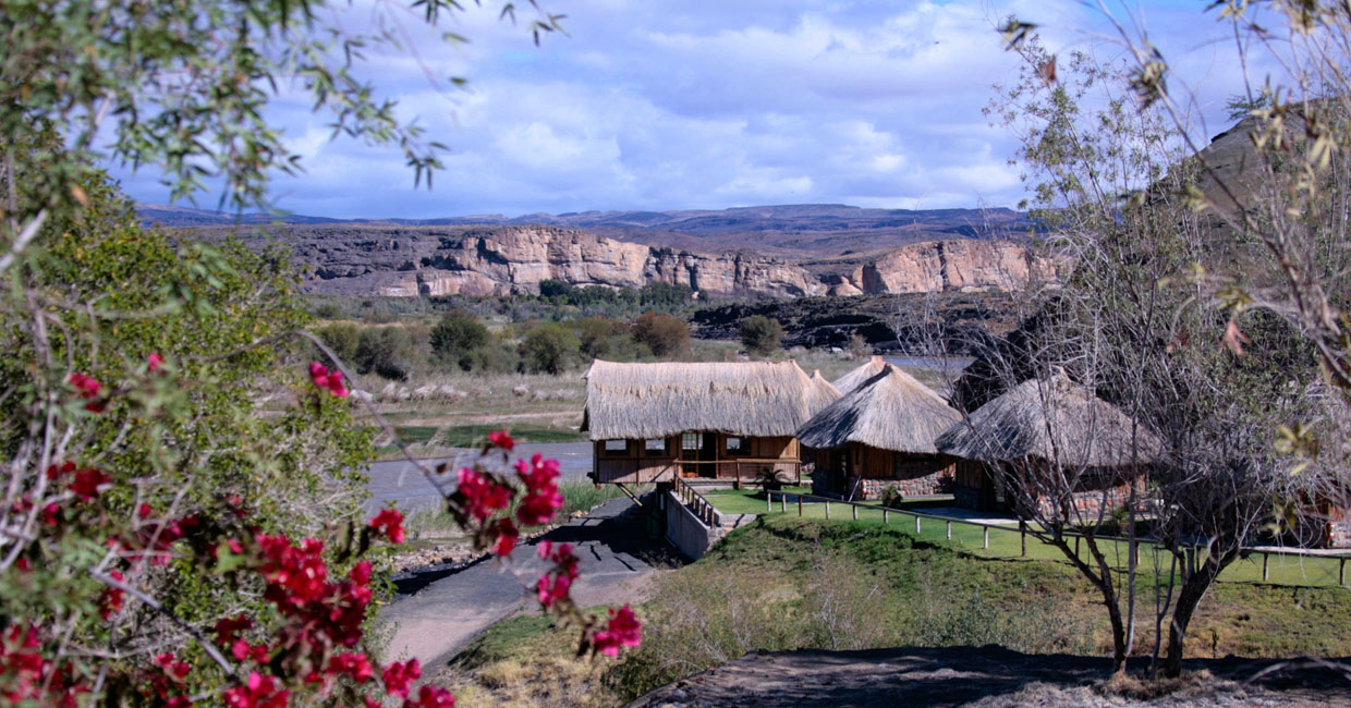 Aloe Ridge