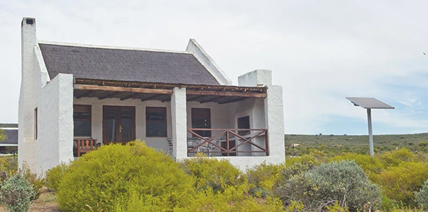 African Game Lodge