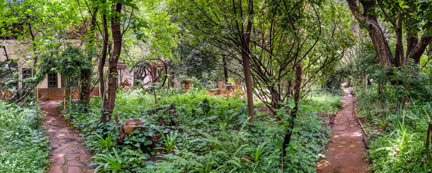 Path through a lush green garden with trees and plants on either side