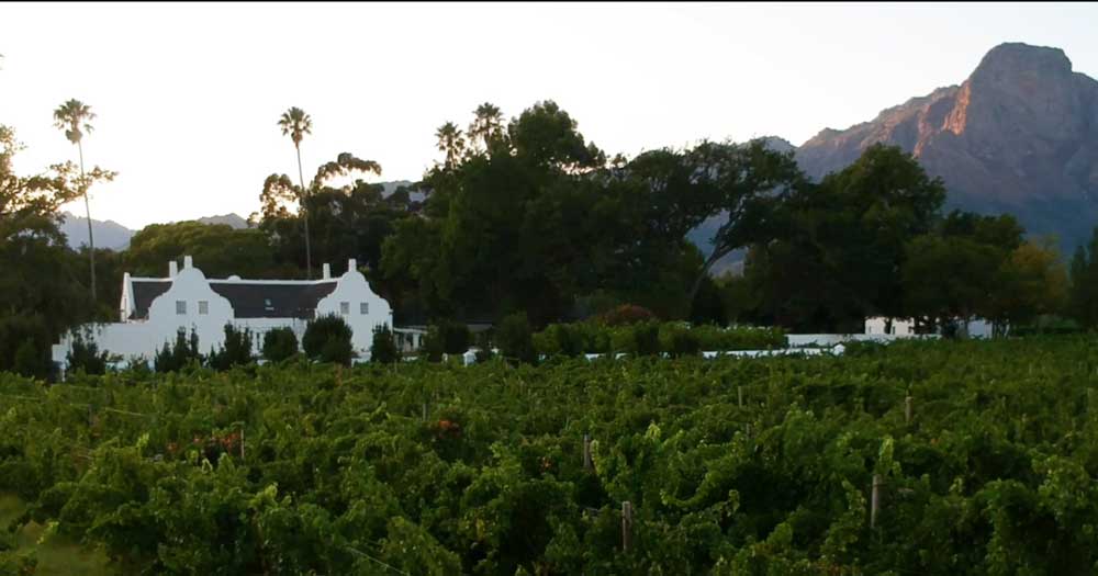 Allée Bleue Wine Estate image 3