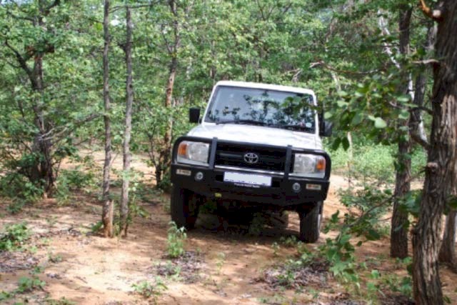 Adansonia Eco Lodge