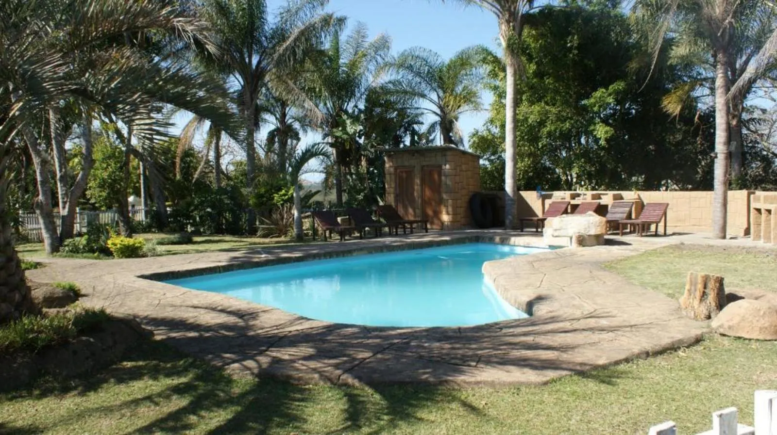 Swimming pool surrounded by palm trees and lounge chairs in a garden setting
