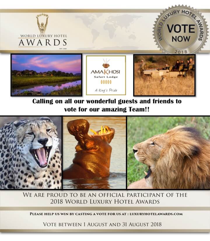 Amakhosi Safari Lodge