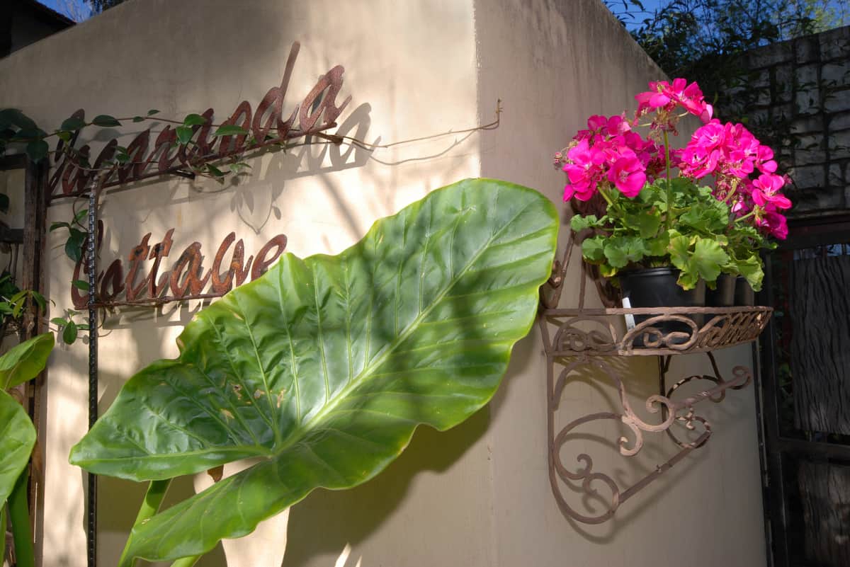 Amanzi Guest House image 5