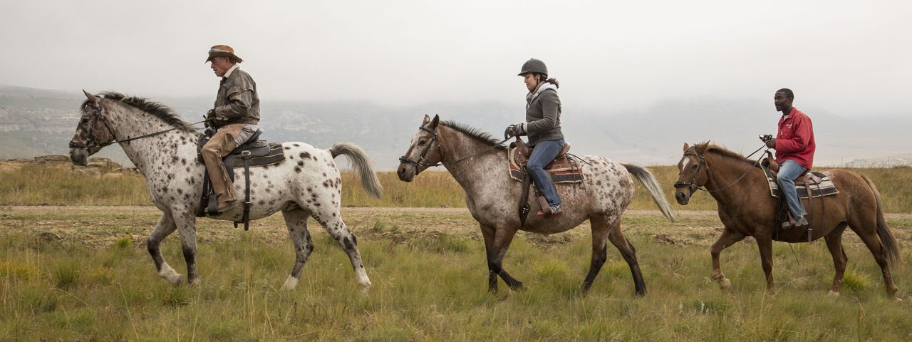 Wild Horses Lodge